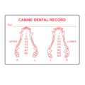 Nevs Canine Dental Label 2" x 3" White w/Red VW-0062
